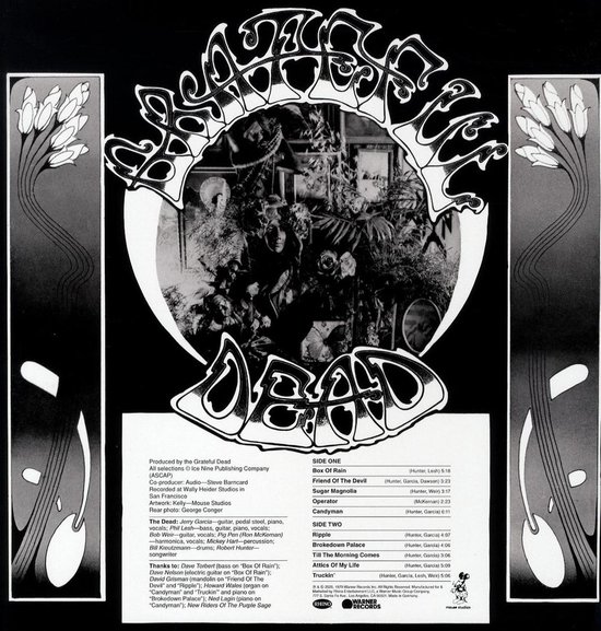 American Beauty (LP)