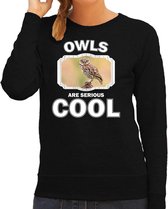 Dieren uilen sweater zwart dames - owls are serious cool trui - cadeau sweater steenuil/ uilen liefhebber S