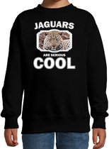 Dieren jaguars sweater zwart kinderen - jaguars are serious cool trui jongens/ meisjes - cadeau jaguar/ jaguars liefhebber 12-13 jaar (152/164)