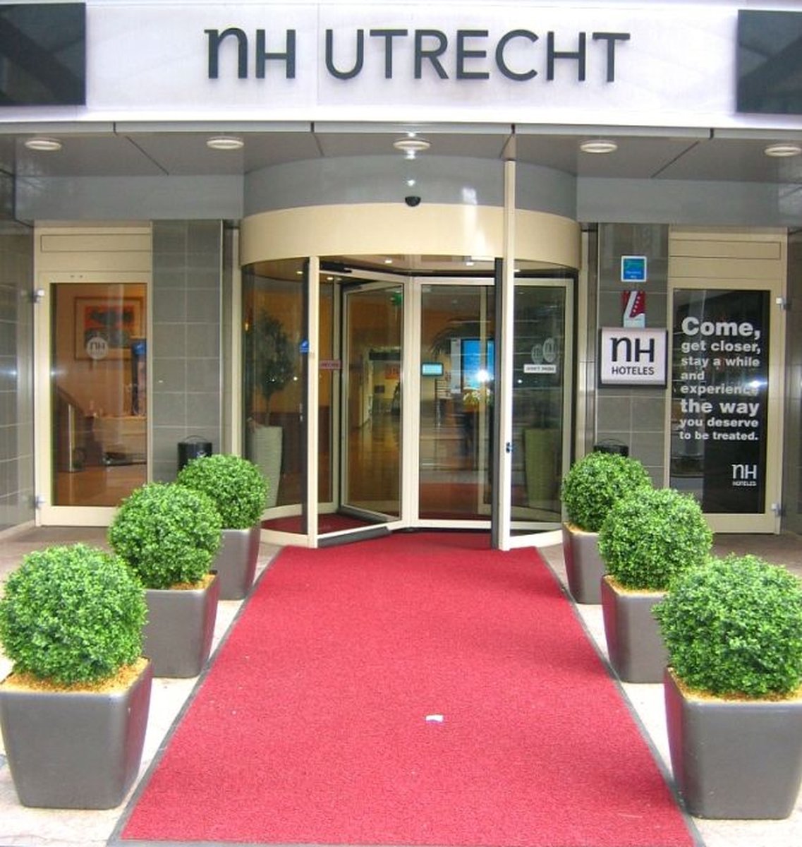 maxifleur Kunstplanten Buxus Bol deluxe kunstplant 60cm - N Groen