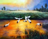 Schilderen op nummer voor volwassenen - KRAANVOGELS - 30 x 40 cm - opgespannen op frame