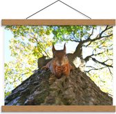 Schoolplaat – Etende Eekhoorn op een Boom - 40x30cm Foto op Textielposter (Wanddecoratie op Schoolplaat)