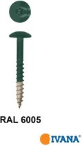 Ivana HPL-plaatschroeven trespa© RVS A2 met TORX TX-20 bit bolkop 12 x 25 mm 100 stuks