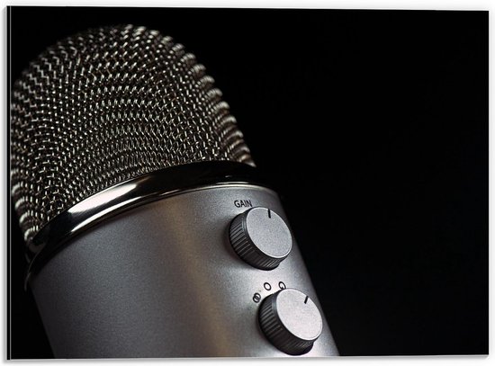 Dibond - Microfoon van Dichtbij - 40x30cm Foto op Aluminium (Met Ophangsysteem)