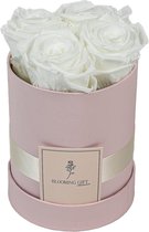 Flowerbox longlife rozen | PINK | Small | Bloemenbox | Longlasting roses WHITE | Rozen | Roses | Flowers