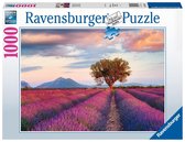 Ravensburger puzzel Lavendelveld in het Gouden Uur - Legpuzzel - 1000 stukjes