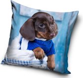 Carbotex De Hond - Sierkussen Kussen 40 x 40 cm inclusief vulling
