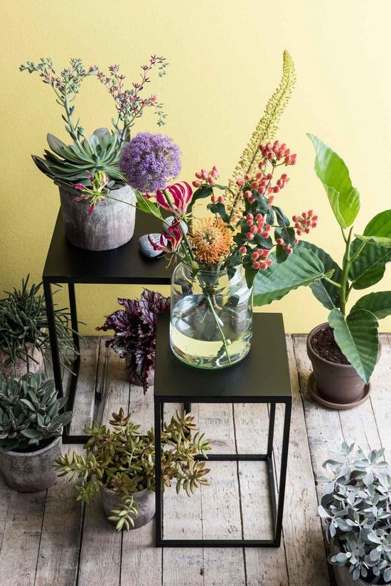 Zwarte metalen bijzettafels met diverse planten.