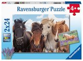 Ravensburger puzzel Paardenliefde - 2 x 24 stukjes - kinderpuzzel