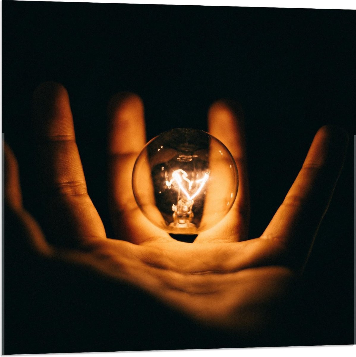 Acrylglas - Lichtgevende Gloeilamp in Handen met Zwarte Achtergrond - 80x80cm Foto op Acry