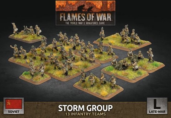 Afbeelding van het spel Flames of War: Storm Group