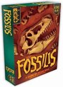 Afbeelding van het spelletje Fossilis