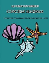 Conchas Marinas
