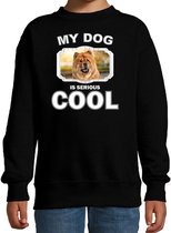 Chow chow honden trui / sweater my dog is serious cool zwart - kinderen - Chow chows liefhebber cadeau sweaters 12-13 jaar (152/164)