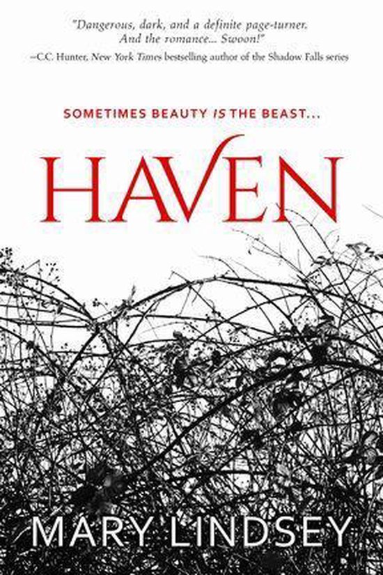 Haven 1 - Haven - cover