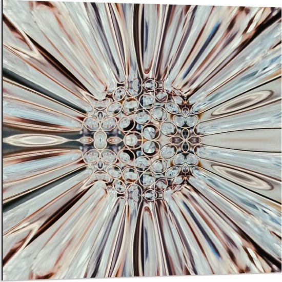 Dibond - Witte Kristalbloem - 80x80cm Foto op Aluminium (Wanddecoratie van metaal)