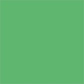 Aquarelkrijt, dikte 8 mm, l: 9,3 cm, cadmium groen (345), cadmium groen (345), 12stuks