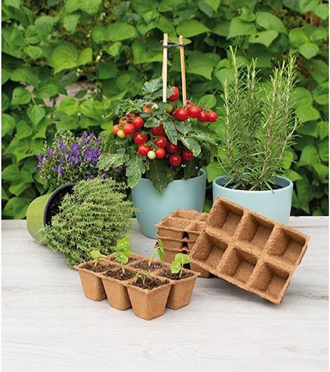 SOGO Biologische turfpotjes 6x6cm 5 strips à 6st.