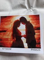 Schilderen op  nummer : verliefd paar bij ondergaande zon.  40x50 cm