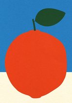 Fruit Poster - Sinaasappel - Wandposter 60 x 40 cm