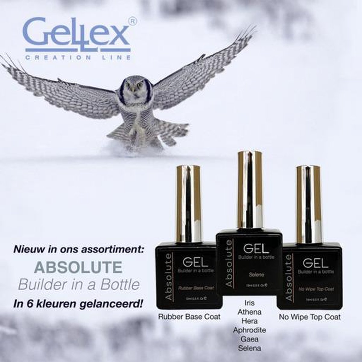 SET Absolute Builder Gel in a bottle, Biab Set Hera 15ml