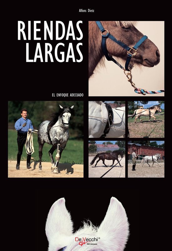 Riendas largas - cover