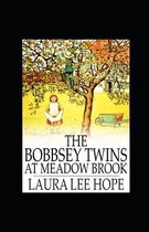 The Bobbsey Twins at Meadow Brook illustrated