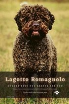 Lagotto Romagnolo