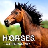 Horses