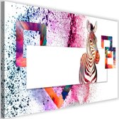 Schilderij Kleurrijke zebra, 2 maten, multi-gekleurd (wanddecoratie)