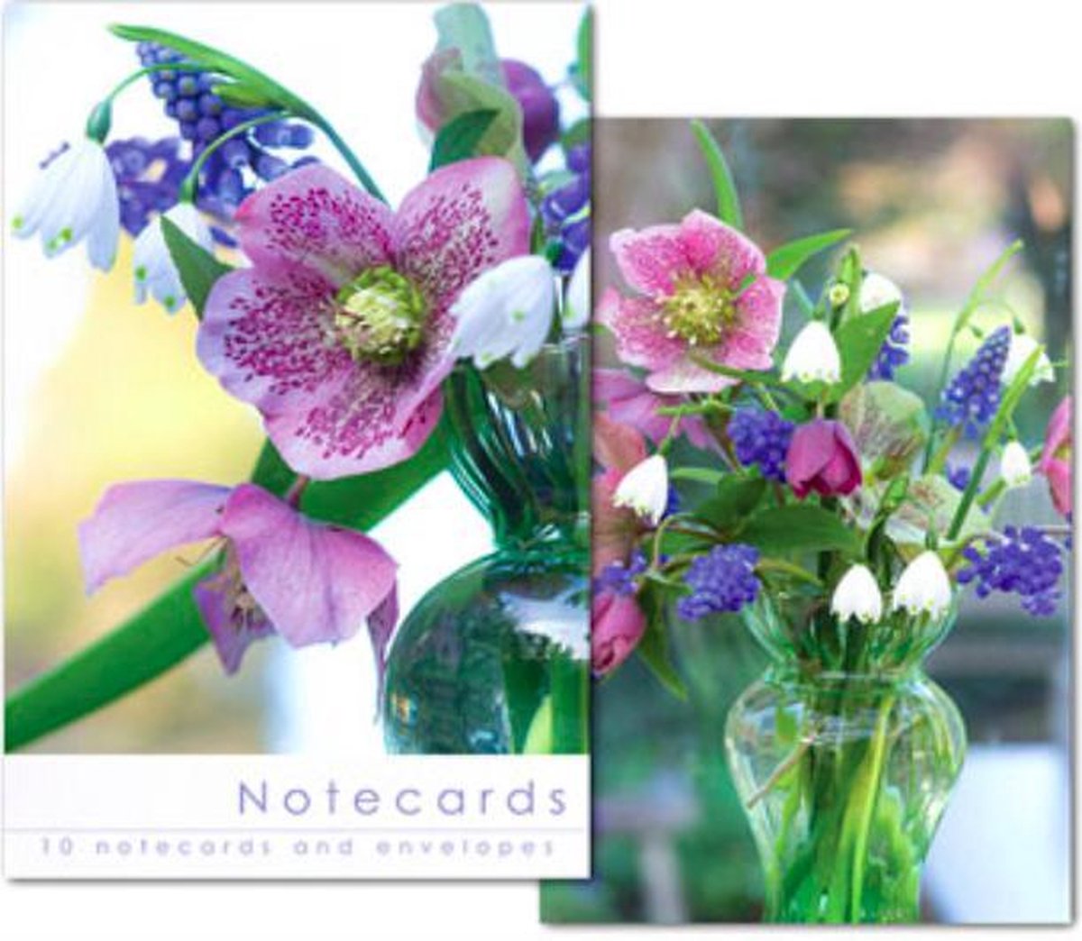 Leonard Smith Notecards ~ Kaartenmapje Helleborus