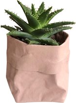 de Zaktus - Aloe Mitriformis - vetplant - UASHMAMA® paperbag roze - Maat M