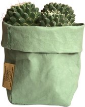de Zaktus - cactus - Pink Senorita - UASHMAMA® paperbag donker grijs- Maat L