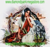 Lenks Diamond painting Indiaan met wolf 40 X 50cm ronde steentjes full paint Diamond Paint