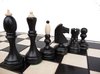Afbeelding van het spelletje Chess the Game - Zwart/Wit schaakstukken met opklapbaar schaakbord.
