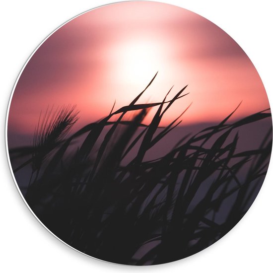 Forex Wandcirkel - Rode Zon Achter Grassprietjes - 30x30cm Foto op Wandcirkel (met ophangsysteem)