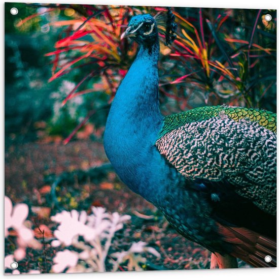 Tuinposter – Mooi Blauwe Pauw Tussen Bloemen - 80x80cm Foto op Tuinposter  (wanddecoratie voor buiten en binnen)