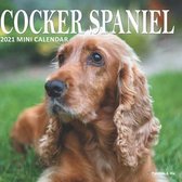 Cocker Spaniel