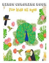 Birds Coloring Book for Kids all Ages