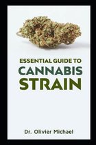 Essential Guide to Cannabis Strain