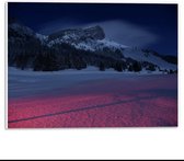 Forex -  Besneeuwde Bergtoppen met Bomen - 40x30cm Foto op Forex