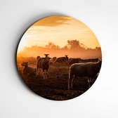 muurcirkel Schapen Limburg - natuurprint | fotoprint op forex | wanddecoratie