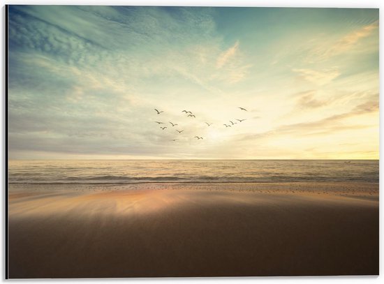 Dibond - Vogels boven de Zee op het Strand - 40x30cm Foto op Aluminium (Met Ophangsysteem)