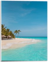 Forex - Tropisch Wit Strand met Blauwe Zee en Palmbomen - 30x40cm Foto op Forex