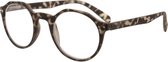 Icon Eyewear YCJ355 Avon Leesbril +3.00 - mat safari tortoise