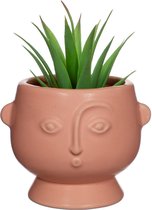 Kleine bloempot gezicht - Sass & Belle