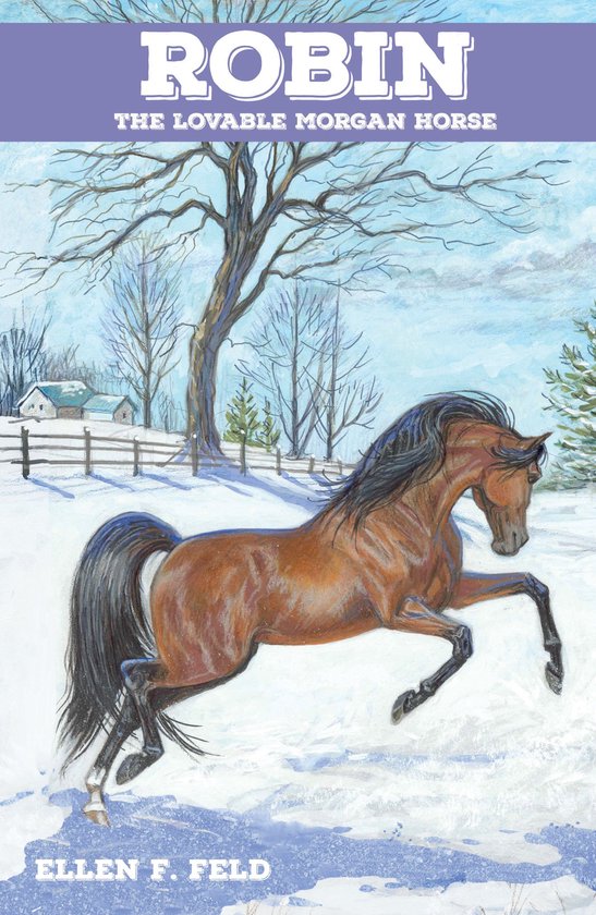 The Morgan Horse Series 4 - Robin: The Lovable Morgan Horse - cover