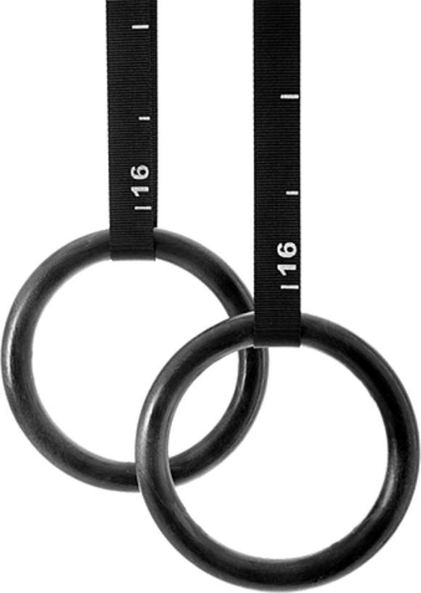 WODster - ABS Turnringen met Verstelbare Ophangbanden - Gym Ringen - Gymnastiek Ringen - Voor CrossFit, Fitness en Calisthenics - Inclusief trainings template