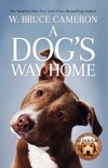 A Dog's Way Home 1 - A Dog's Way Home