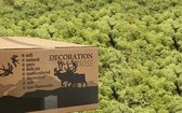 MosBiz Rendiermos oud groen 3 kilo voor decoraties, schilderijen en mos wanden